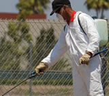 Controle de Pragas em Bebedouro